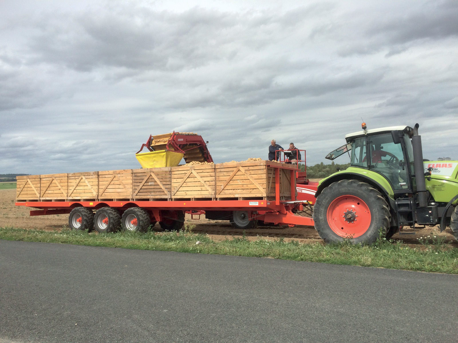 royer-plateau-sp320pl-fourrager-pommes-de-terre-2m54 image 1