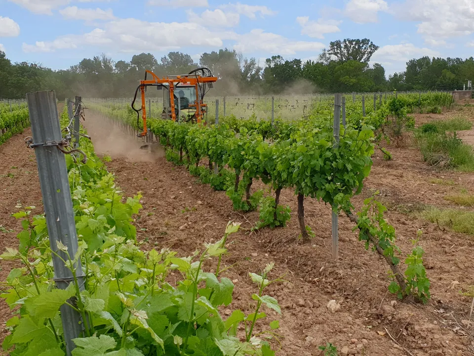 terral-epampreuse-2-rotors-lani-re-nettoyage-cep-vigne image 1